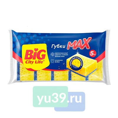 Губка кухонная BIG City, крупнопористые Raindow, 5шт