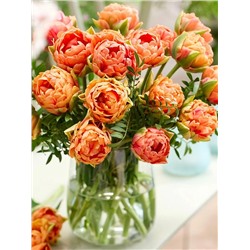 Луковицы Тюльпан махровый ранний Ориндж Флейвор, арт.: 75149