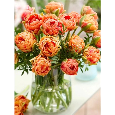 Луковицы Тюльпан махровый ранний Ориндж Флейвор, арт.: 75149