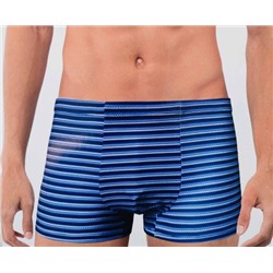 Мужские трусы арт. 9053