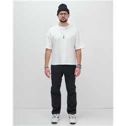 Брюки утепленный мужской зимние спортивные черного цвета 2211-1Ch