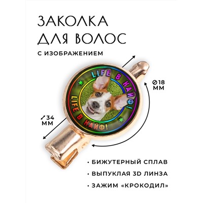 HZF-0367 Заколка Life в кайф