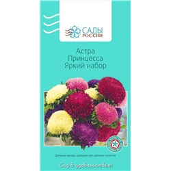 Астра Принцесса Яркий набор, арт.: 2281