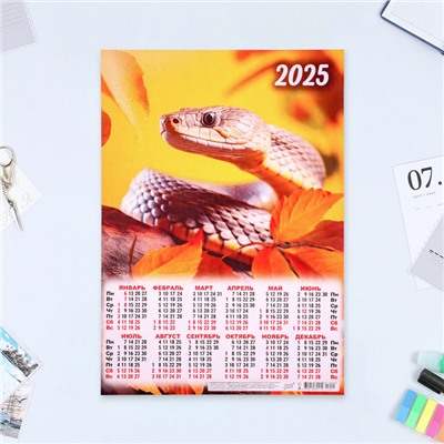 Календарь настенный 2025 год, листовой А3 30×42 см