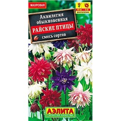Семена Аквилегия Райские птицы смесь окрасок, арт.: 3455