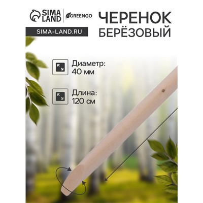 Черенок берёзовый, d = 40 мм, длина 120 см, высший сорт, Greengo