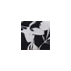 Купальник №0267018 2024 IABI Дроп совместный