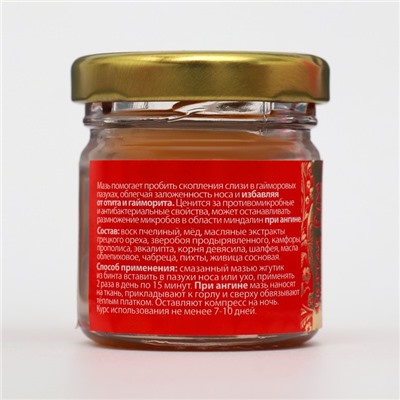 Мазь при простуде, ангине, отите и гайморите «Святая Рука», 30 мл