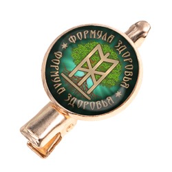 HZF-0395 Заколка Формула здоровья
