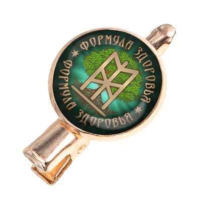 HZF-0395 Заколка Формула здоровья