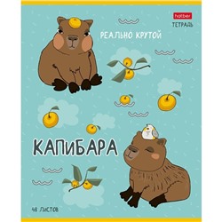 Тетрадь 48 листов в клетку «Реально крутой Капибара», обложка мелованный картон, блок 65 г/м², 5 В МИКС