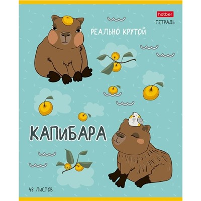 Тетрадь 48 листов в клетку «Реально крутой Капибара», обложка мелованный картон, блок 65 г/м², 5 В МИКС