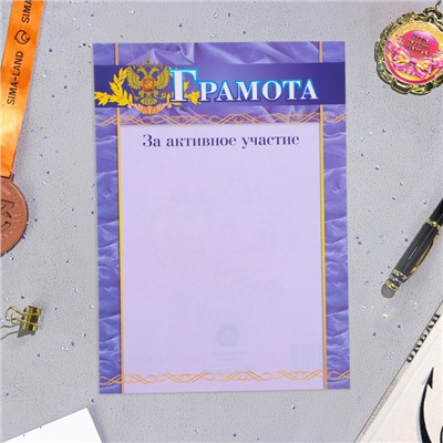 Папка «Портфолио старшеклассника», 8 грамот, А4