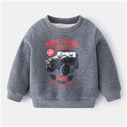 Толстовка на флисе WELLKIDS