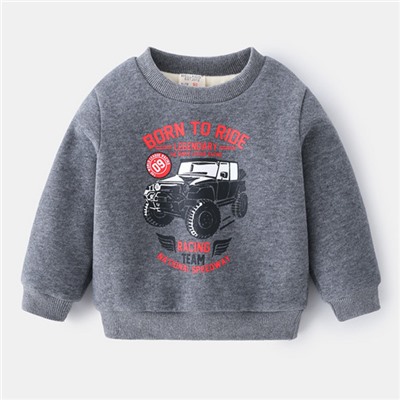 Толстовка на флисе WELLKIDS