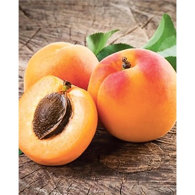 Саженцы Абрикос Оренбургский, арт.: 70279