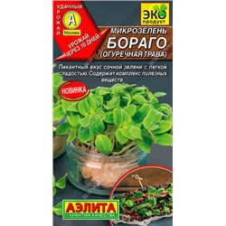 0531 Микрозелень Бораго огуречная трава 3гр