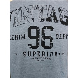 Футболка мужская арт. 02285/Vintage