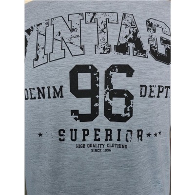 Футболка мужская арт. 02285/Vintage