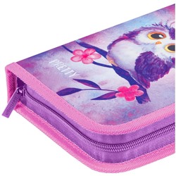 Пенал 1 отделение, 200*140*40 Berlingo "Owl", с наполнением, полиэстер
