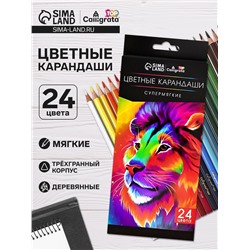 Карандаши цветные 24 цвета TOP Calligrata, супермягкие, в картонной коробке, диаметр грифеля 3 мм, 5B