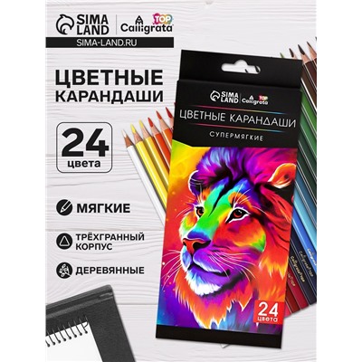 Карандаши цветные 24 цвета TOP Calligrata, супермягкие, в картонной коробке, диаметр грифеля 3 мм, 5B