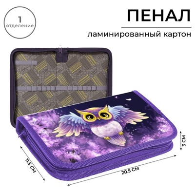 Пенал 1 секция 115×205×30 мм, Calligrata «Совушка» ламинированный картон
