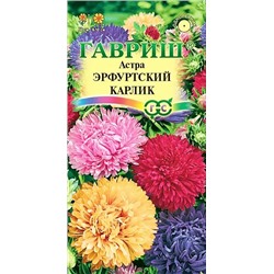 Семена Астра Эрфуртский Карлик, арт.: 3597