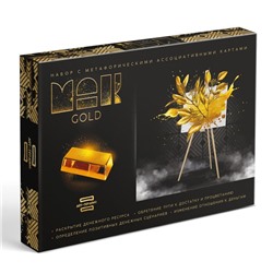 Арт-терапия «GOLD» с МАК, 50 карт (7х12 см), холст (22х16,5 см), краски (6 цветов), кисть,16+