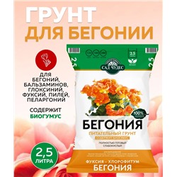 Грунт Сад Чудес Бегония 2,5л (Норд Палп), артикул: 74495