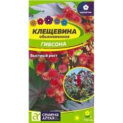 Семена Клещевина Гибсона, арт.: 13666