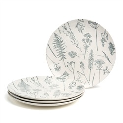 НАБОР ТАРЕЛОК ОБЕДЕННЫХ BRONCO "GRASSES" 4 ШТ. ДИАМЕТР=27 СМ