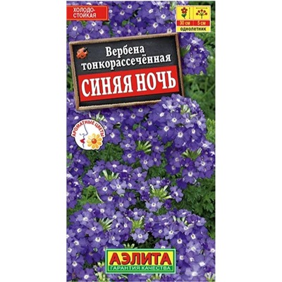 Вербена Синяя Ночь
