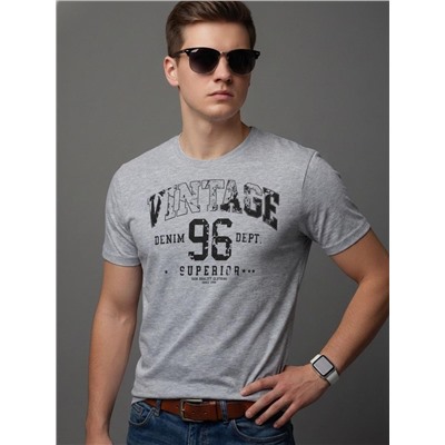 Футболка мужская арт. 02285/Vintage