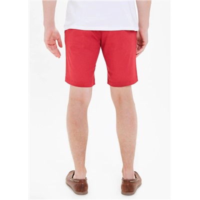 Big & Tall Geo Print Chino Shorts