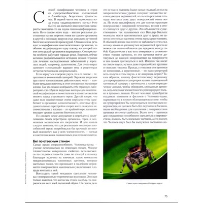 Вокруг Света 09/24 (ноябрь)