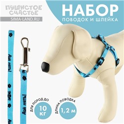 Поводок «Дай пять» 120×1 см, шлейка 26-39 см
