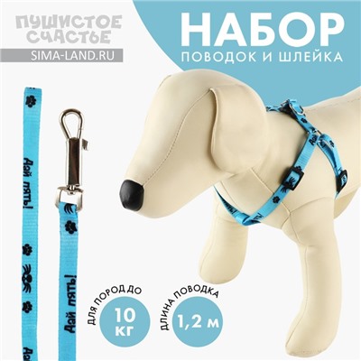 Поводок «Дай пять» 120×1 см, шлейка 26-39 см