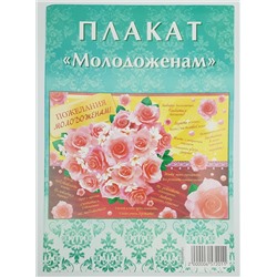 Плакат ПЛ-0006