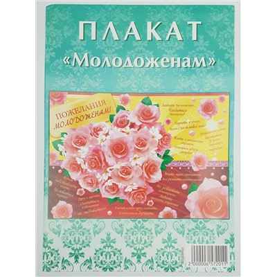 Плакат ПЛ-0006