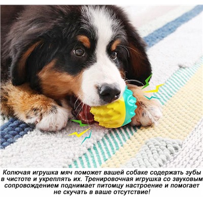Игрушка-пищалка для собак, жевательная, "колючий" мяч К2202А