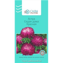 Астра Седая дама Красная, арт.: 2840