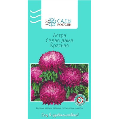 Астра Седая дама Красная, арт.: 2840
