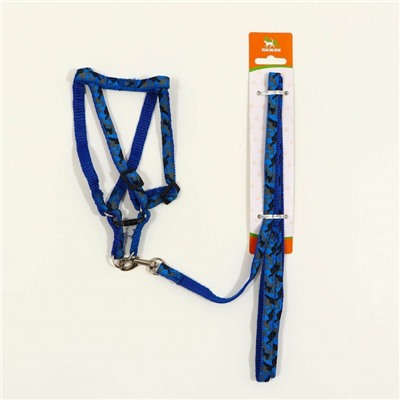 Комплект прошитый «Милитари», ширина 1 см, поводок 120 см, шлейка 23-35 см, синий