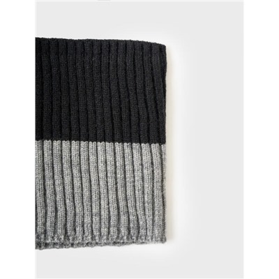 Комплект для мальчика: шапка, снуд