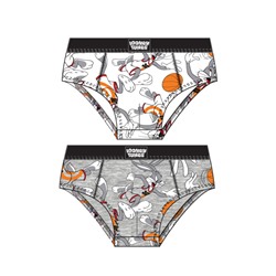 Трусы- брифы для мальчика, 2 шт в комплекте