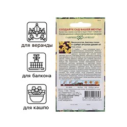 Семена Виола "Сорбет XP Еллоу Джамп Ап", ц/п,  F1, 4 шт.
