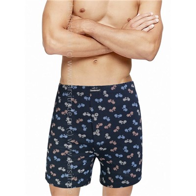 Трусы мужские GB7826H Gentlemen BIG боксеры
