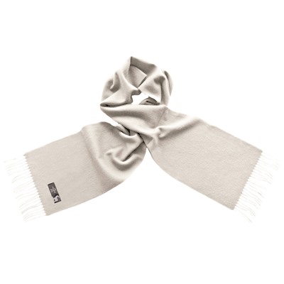 00503 SH1 COL-170517