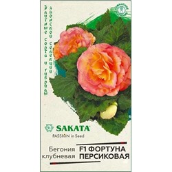 Семена Бегония Фортуна Персиковая F1, арт.: 11801